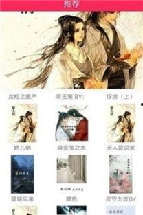 网红小说晋江,穿越时空的浪漫邂逅