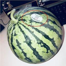 大理祥云网红吃瓜,揭秘大理美食新潮流