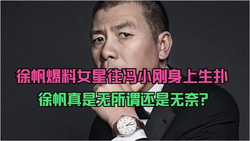娱乐圈爆料冯小刚,揭秘背后真相与争议